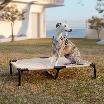 Breathable Cooling Elevated Dog Bed With Cooling Blanket