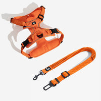 Neon Orange+Harness
