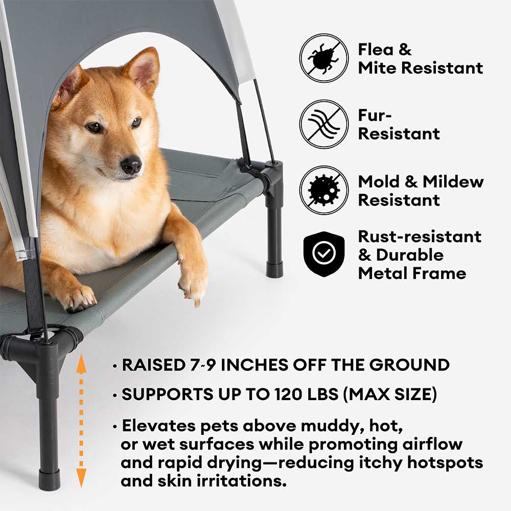Breathable Cooling Elevated Dog Bed With Cooling Blanket