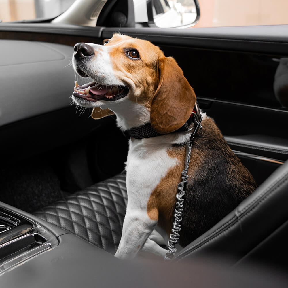 Car Seat Belt Buffer Adjustable Cool Dog Accessories