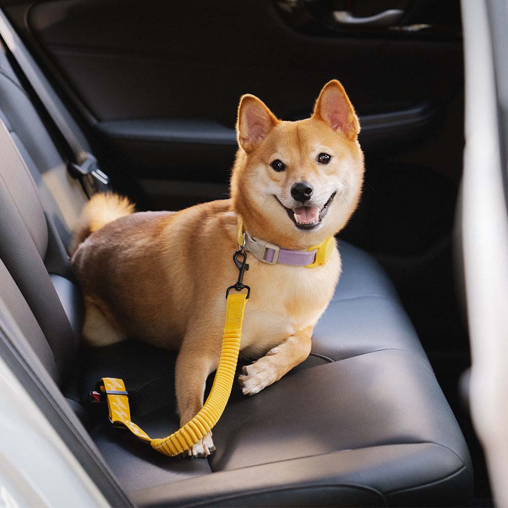 Car Seat Belt Buffer Adjustable Cool Dog Accessories