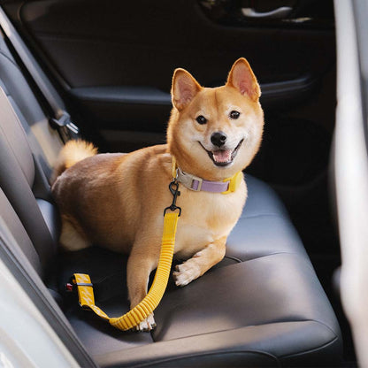 Car Seat Belt Buffer Adjustable Cool Dog Accessories