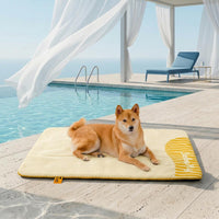Yellow - Mat